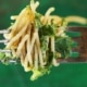 Plantaardig eten: tips en recepten