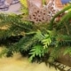 Vegan en kidsproof kerstmenu 2021
