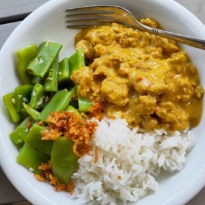 vegetarische redang van seitan recept