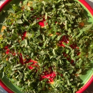 kruiden bewaren drogen